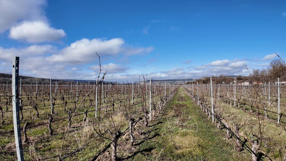 � ����������� ������������ ������������ �� 80% �������� ��������� ������������