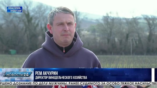 Почти шестьсот миллионов рублей – на поддержку виноградарства