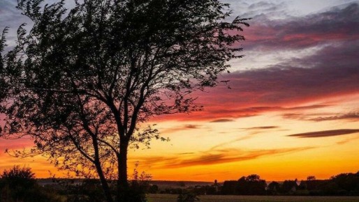 ����� � ������� ������ � ������ ����������� �� �����������