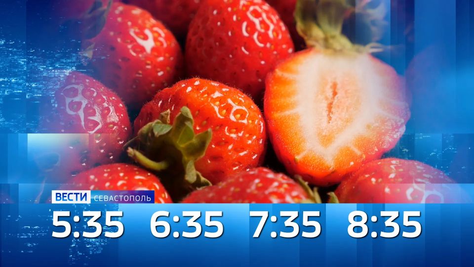 ������ ������������ ���� 17 ������� 2026 ����