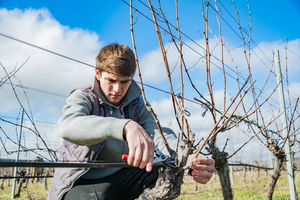 ������������ ����������� ������� � ������ ������