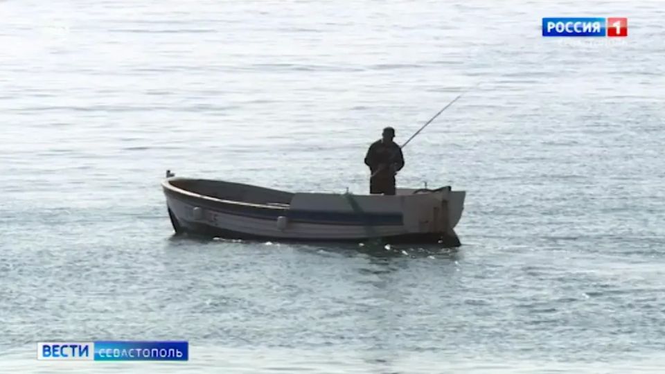 ������ �������� ������ ���� ����� ���� �����