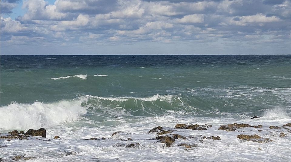 � ����������� ������������ �������� ����� �� 28 �/�