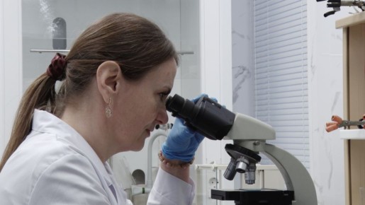 18 000 ������������ ����� ������������ � 2025 ����