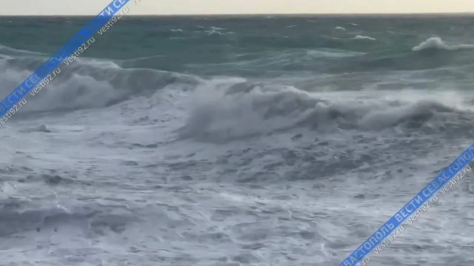 ����� � ����������� ������ ����� �������� 28 �/�