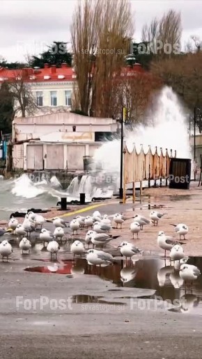 Море у берегов Севастополе штормит