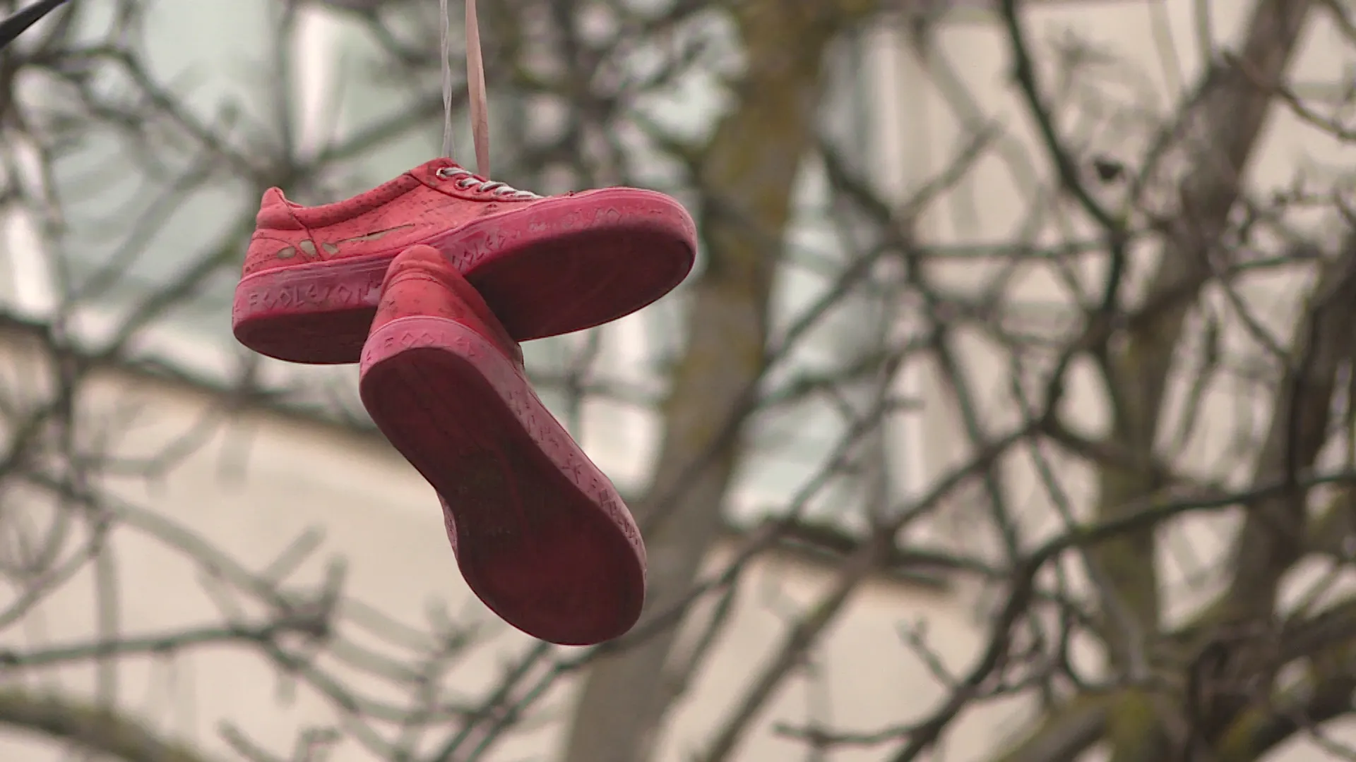 Сотрудники севастопольского «Горсвета» убрали кроссовки, висевшие на проводах