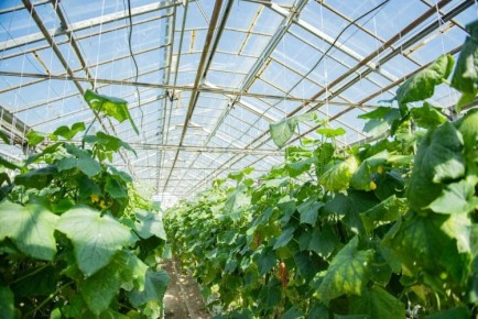 � ����������� ���������� ��������� ��������� ��������� �������� �������