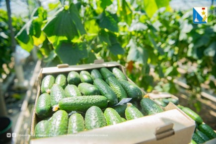 ������������ ��������� ��������� �����������