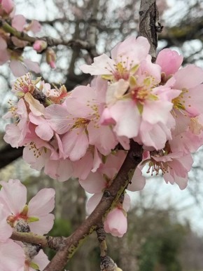 Всем доброго дня, а мужчин — с Днем Защитника Отечества!