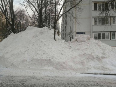 � ������ ����� ������ 1966 ���� �� ������ ��������