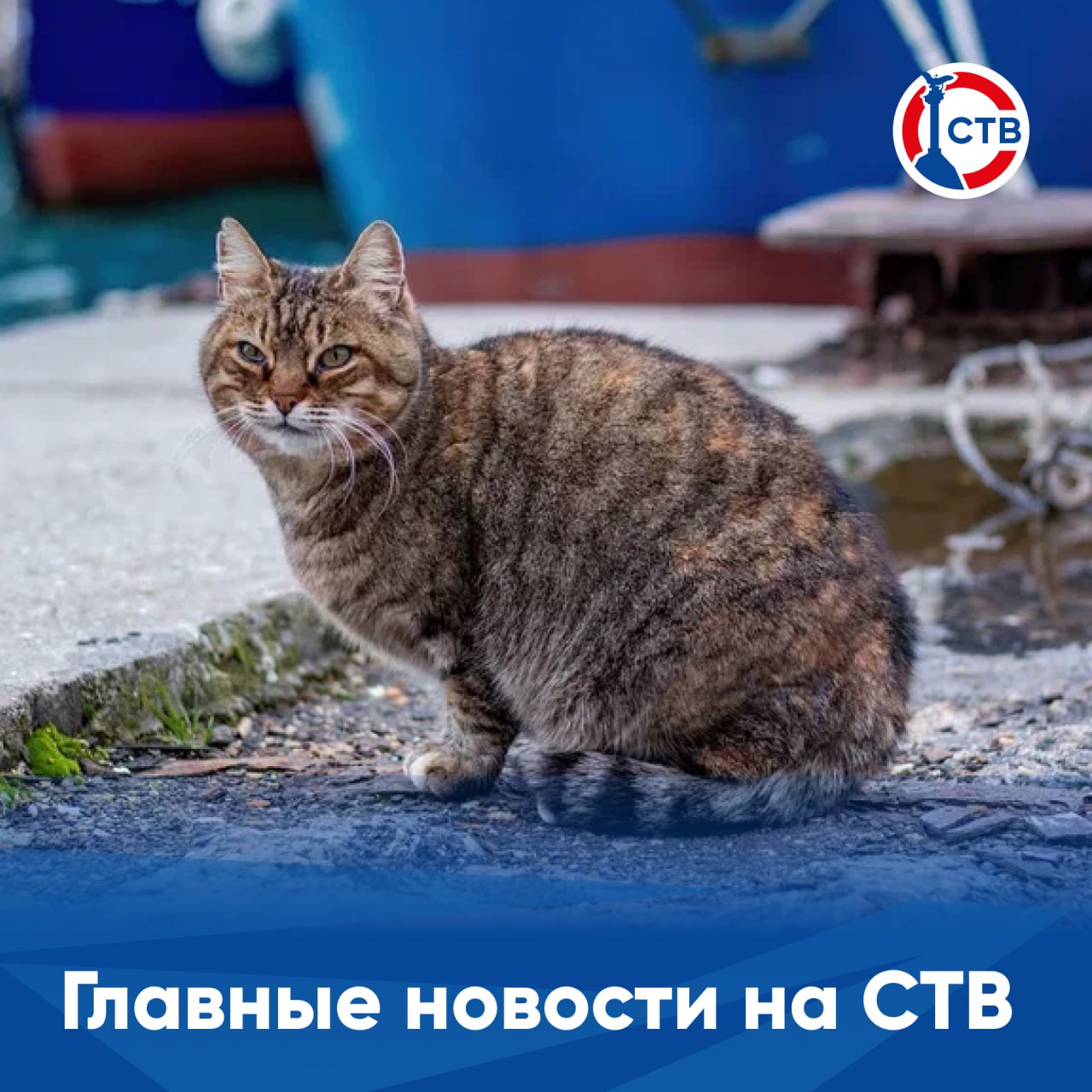 Коротко о главных темах минувшего дня: