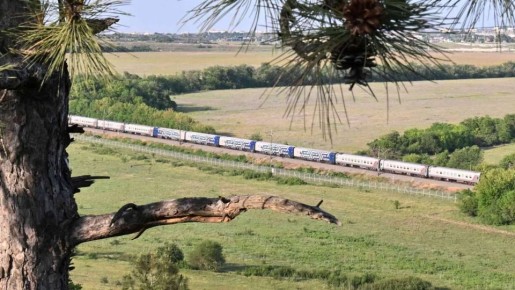 � ����������� �� ���������: ���������� ������ ������� ������� �� ������