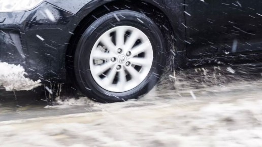 ������� ����� �� ������ ��������� � �����������