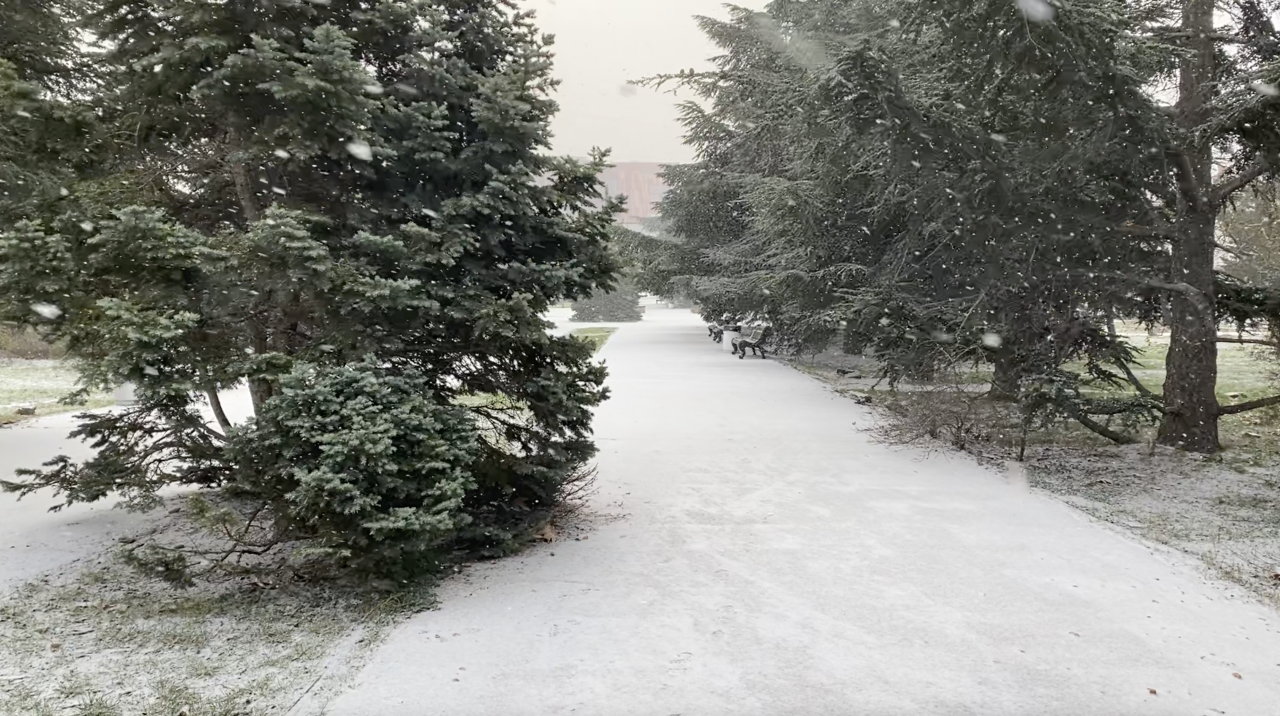 25 февраля в Севастополе ожидается мокрый снег