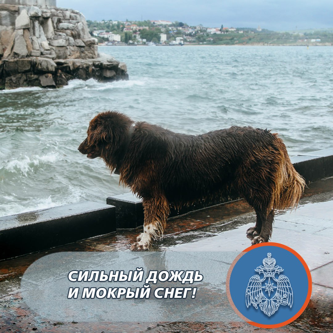 Сильный дождь и мокрый снег завтра в Севастополе!