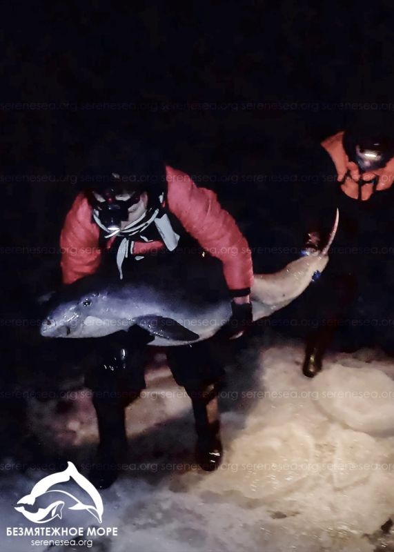 ��� ��������-������ ������� � ������� ����� � ������� ����� � �������� ����