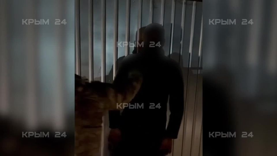 ���������� ������ �� ���� ��� ������ �� ������� � �������� � ���������
