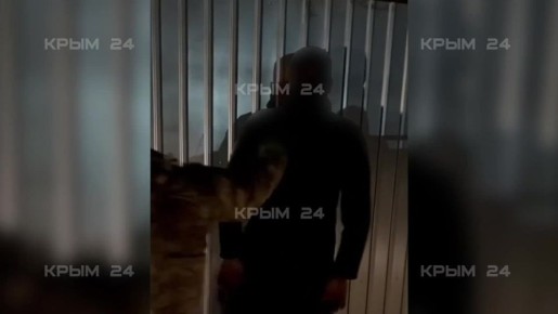 ���������� ������ �� ���� ��� ������ �� ������� � �������� � ���������