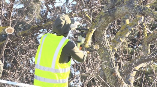 � ����������� ������ ������� ������� ��������