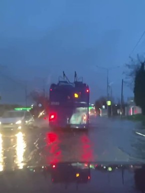 ���������� "�����", �������� ��������