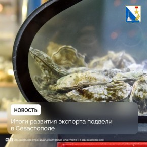 Благодаря господдержке севастопольские компании впервые экспортировали товаров на более чем три миллиона долларов