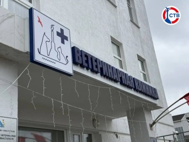 Больше 600 питомцев с начала 2025 года чипировали севастопольские ветеринары