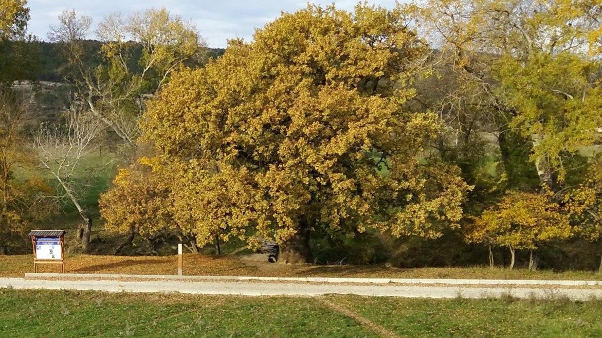 «ЗАПОВЕДНЫЕ ТЕРРИТОРИИ СЕВАСТОПОЛЯ»