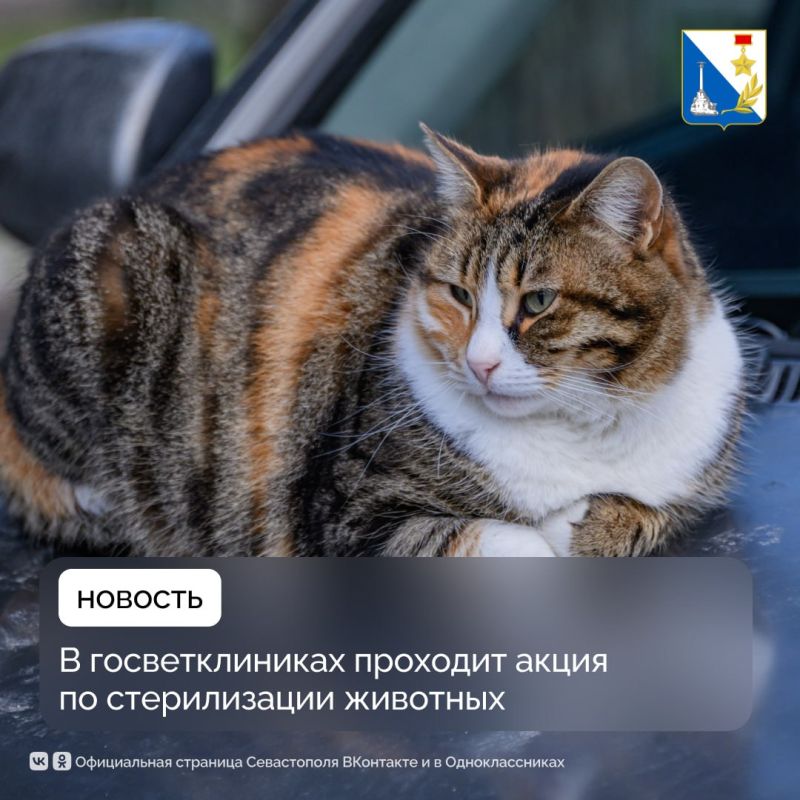 � ������������� ����������� �������� ����� �� ������������ �������� ��������