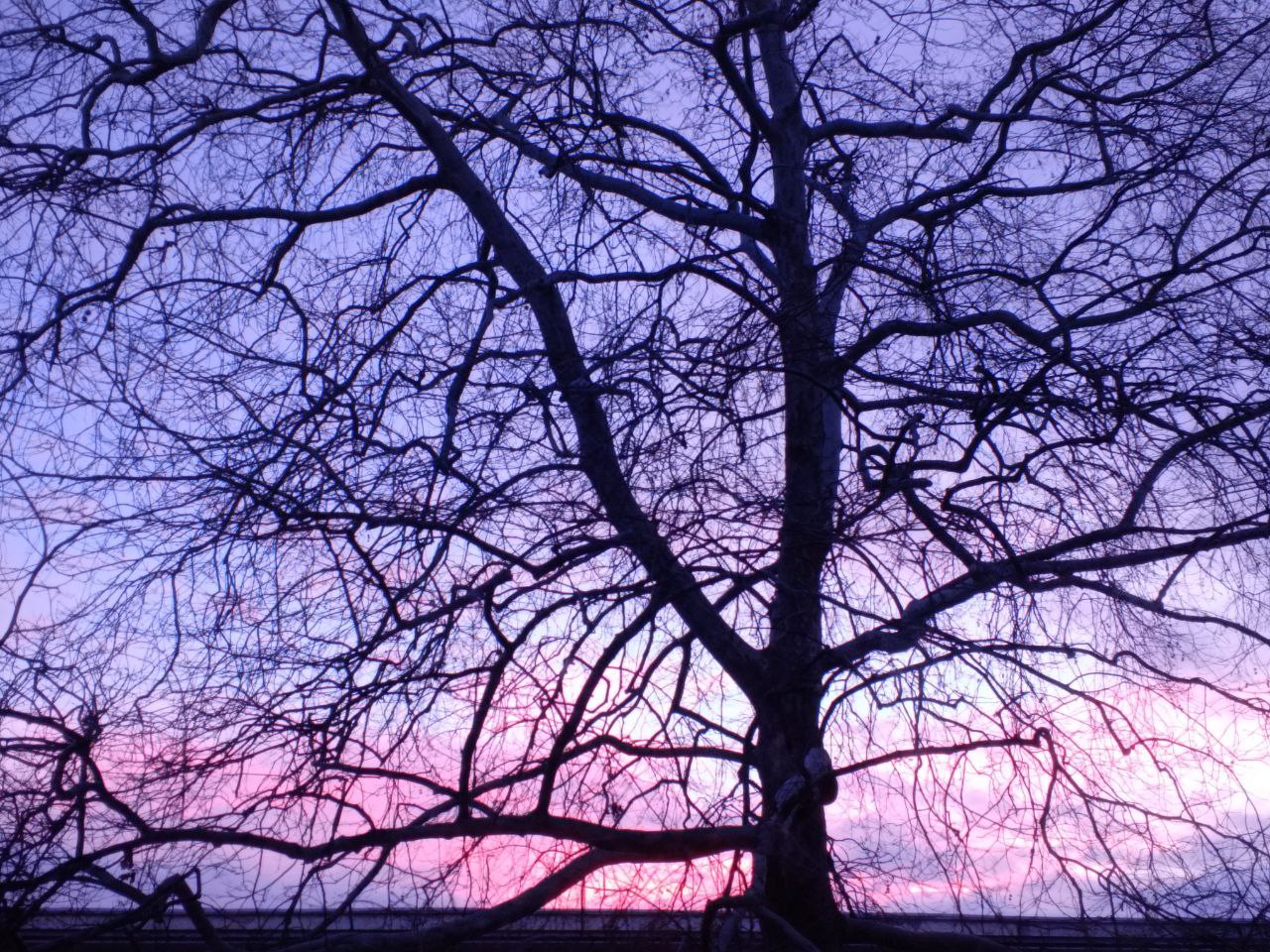 Доброго утра, друзья!. В четверг в Севастополе днем небольшие осадки (дождь, мокрый снег)