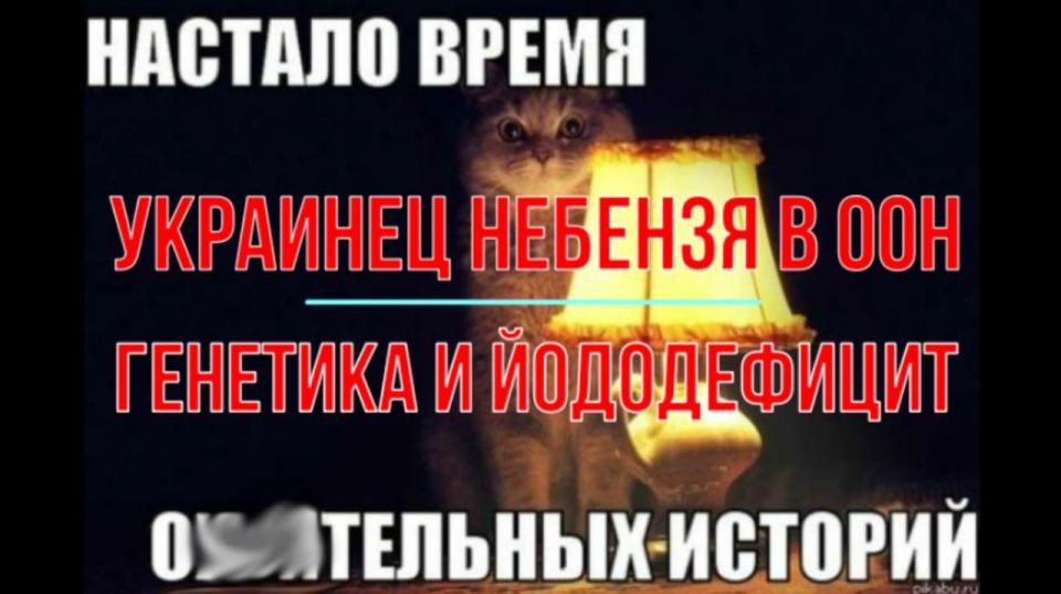 ������ ����������: �� ���� �� ���, ����� ������������
