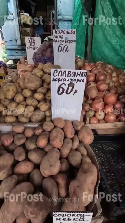 Что почём: актуальные цены на овощи и фрукты в Севастополе (и зачем нам та голубика с огурцами?)