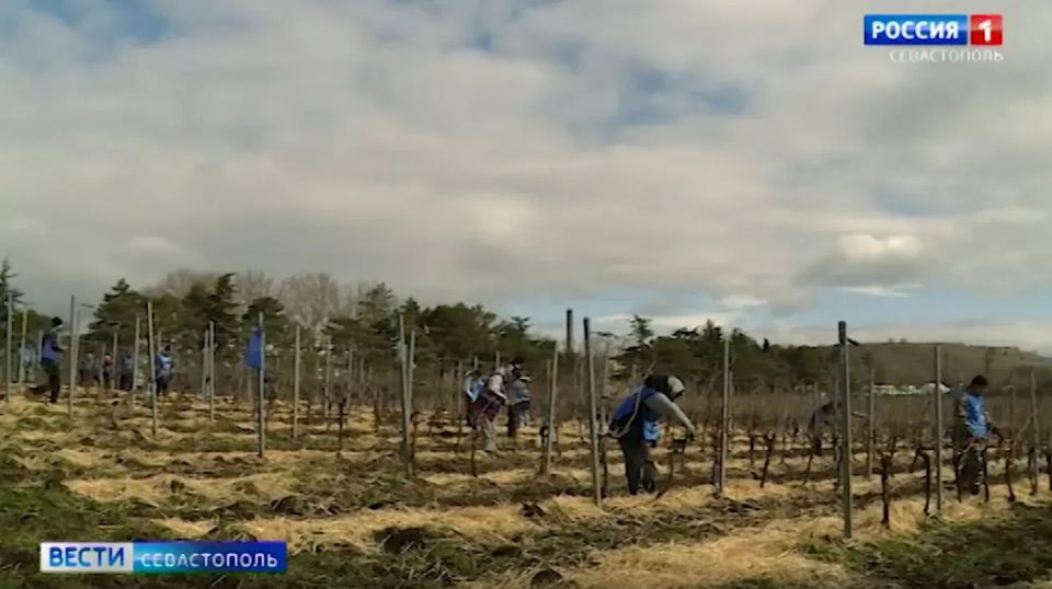 � ��������� ���� ����� ������� �������������� �������� ������������ ����� ������