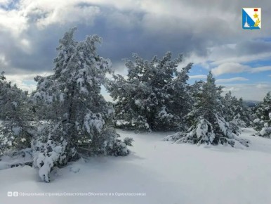 �� ����� ��� ��� ����. ������� ��������� ���� ����, � ��������� �������� ������� ��������������� ����� ��� ��� ����� ����