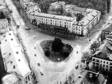 Ливанский кедр на площади Лазарева