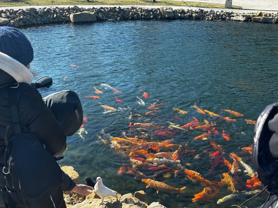 ��������� ���� ������. � ���� ������, ����������� ����� ����� ��������, ������� ������������ ����