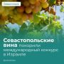 Михаил Развожаев: Севастопольские виноделы завоевали высокие награды на международном конкурсе Terravino 2026 в Израиле