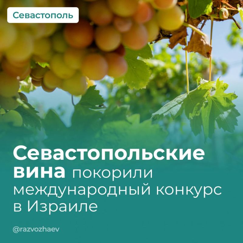 ������ ���������: ��������������� �������� ��������� ������� ������� �� ������������� �������� Terravino 2026 � �������