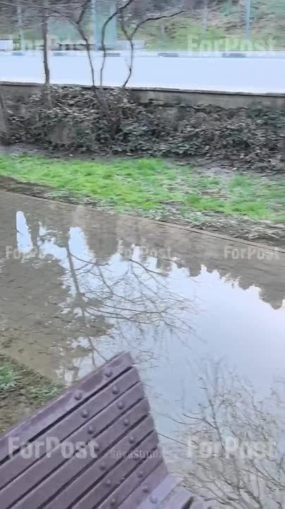 � ������ ���� ����� ���������� ��������� ������� � ���������