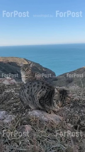 В Севастополе сегодня весна