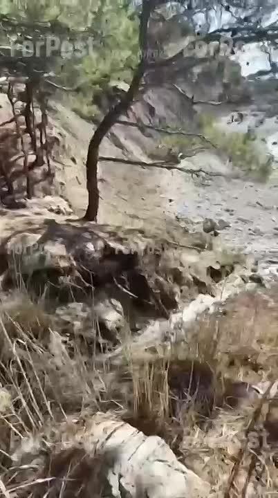 � ����� � ����������� ����� ����� ����