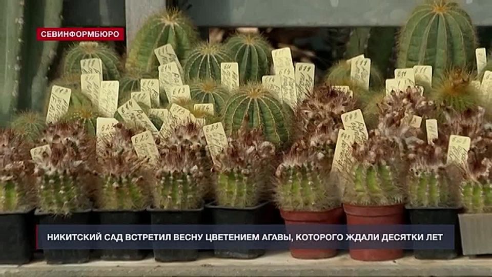 � ���������� ��������� ���������� ������������� ���� ��������� ��������� ����