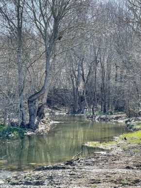 ������ �� 3 �����: