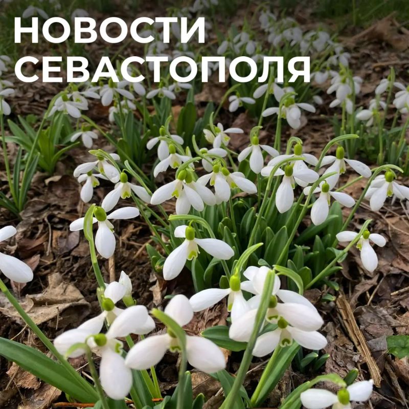 ������ ���������: ������� � �������:. ������� � ���������: � ��������� ������������� � ��� ������ ������ ����������� ����������� �������� ������������� ������������ ��������, �������� ��������������, ���������������...