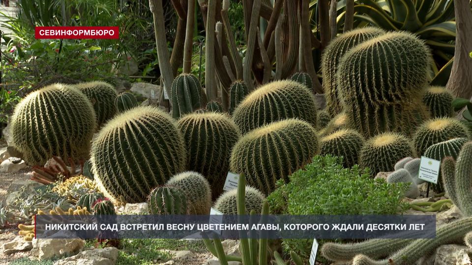 � ��������� ������������ ���� ������� ������ �����������, � � ���������� ��������� ��������� ��������� ����