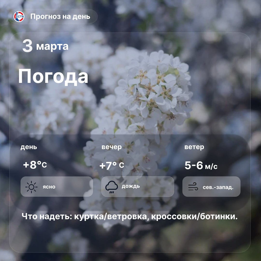 Доброе утро, севастопольцы! Сегодня город радует ясной погодой днём, температура воздуха до 8°С