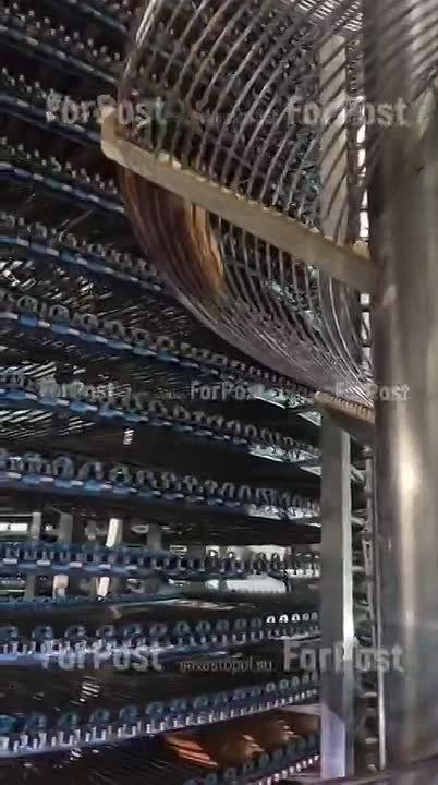 Главный хлебопёк Севастополя — «Царь хлеб» — за пять лет получил из бюджета 183 млн рублей господдержки