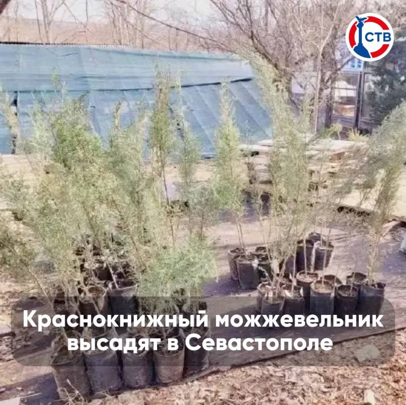 � ������� �������� ���. ��� � ������ ������� � ����� ����� �� ��� � MAX