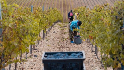 ������ ������� ����� ��������� � ����� � ��������� ���� ��� �������������