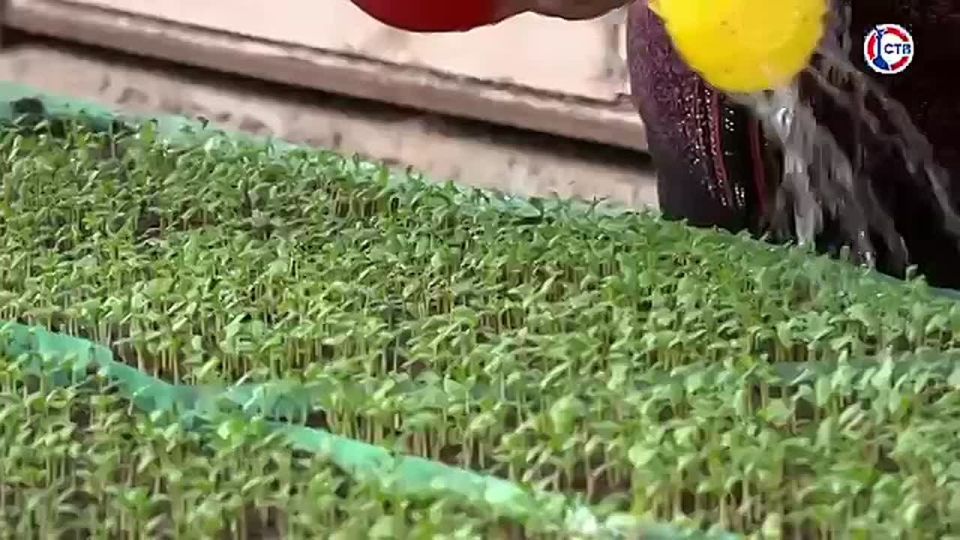 � ��������������� �������� ��������� ������ ������ ������� � ���������